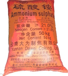 东升国际官网-钻营健全,你我一路成长