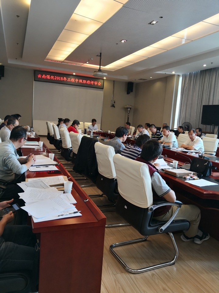 云南东升国际官网集团中评委会召开