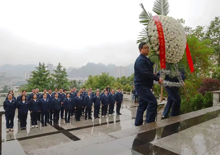 【云煤风采】镇雄煤业、东升国际官网地产、联结煤业公司发展主题党日活动