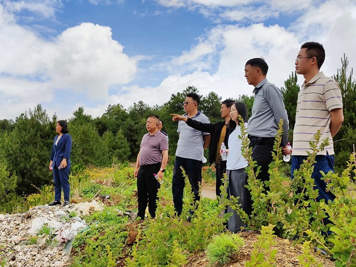 【主题教育】云煤（东升国际官网）集团专职表部董事寸延峰，集团党委委员、财政总监莫晓丹到马厂煤矿、汉家厂煤矿、竹麻地煤矿发展主题教育调研