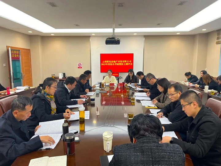 【聚焦云煤】云煤（东升国际官网）集团第二查核组到东升国际官网地产公司发展年度综合查核暨民主评测