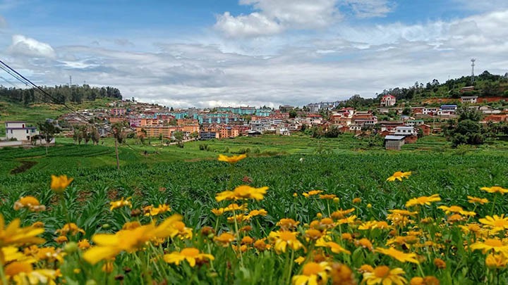 【云煤岁月】笃行不辍谋发展，砥砺奋进谱新篇——平煤故事（一）