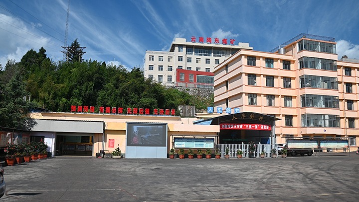 【基层党建幼隐语】强化党建引领，推动融合中心工作提质增效