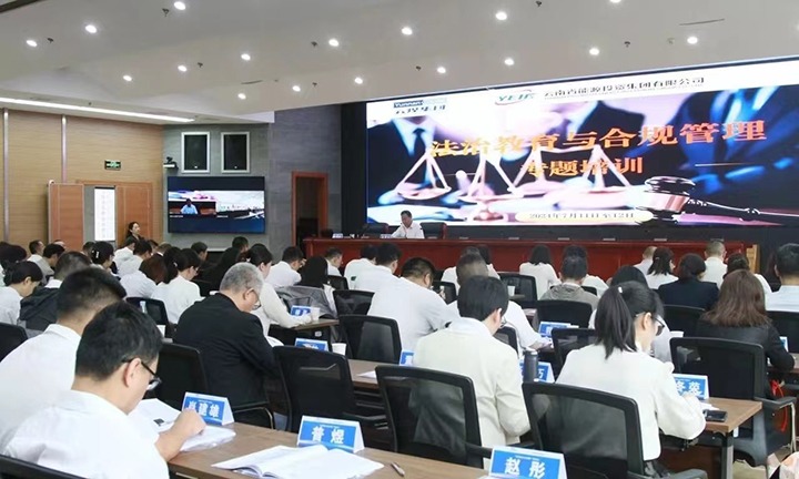 煤炭产业集团、能投集团结合进行2024年度法治教育与合规治理专题培训