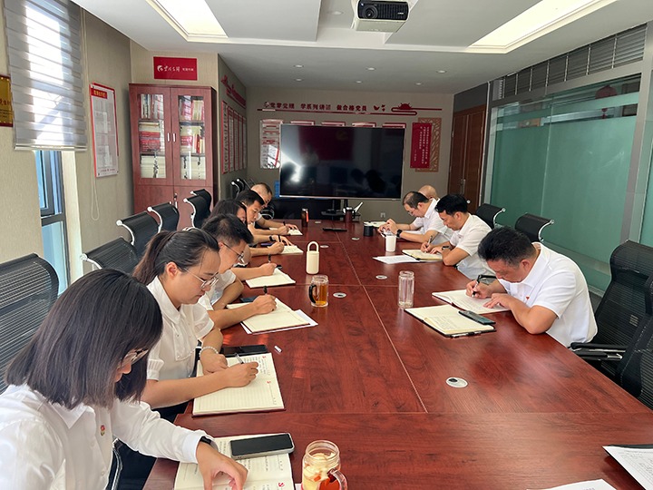 东升国际官网地产党支部发展“凝心聚力促鼎新，安身岗位做贡献”主题党日活动