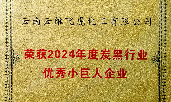 荣誉加冕，将来可期！云维飞虎公司荣膺“中国炭黑行业优良幼巨人”