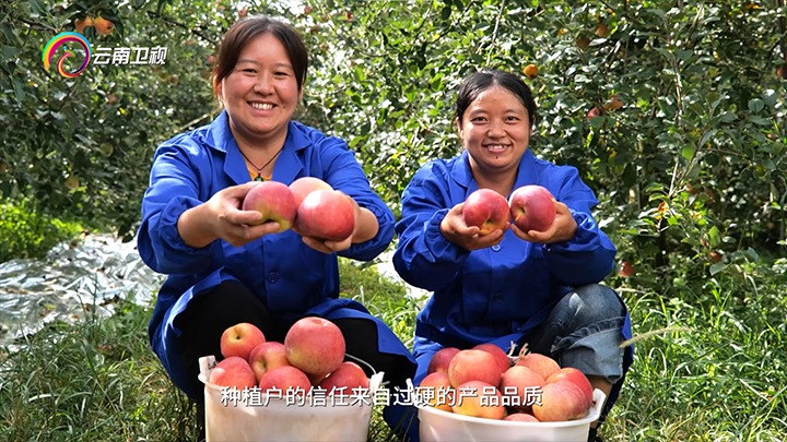 《云南卫视》播报：云煤集团解化好肥助力“三农”发展，共绘村落振兴“幸；怼