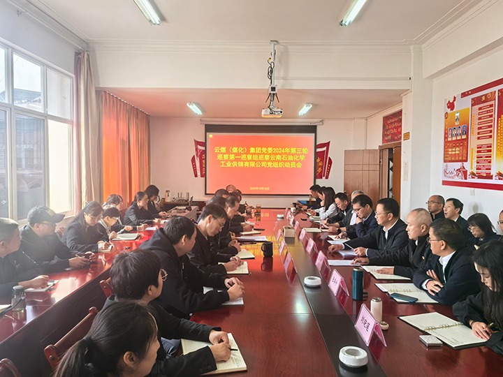 云煤集团党委2024年第三轮巡察第一巡察组对云南石油化学工业供销公司党委发展巡察工作