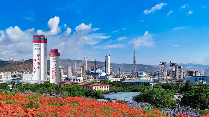 花圃式工厂的“前世今生”