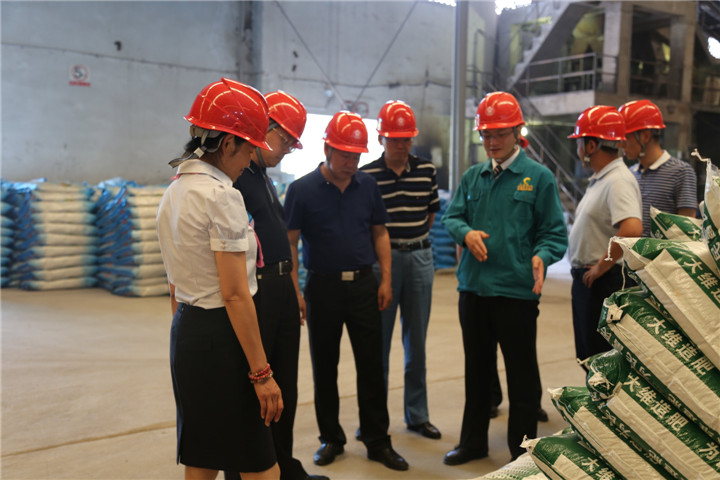 东升国际官网-钻营健全,你我一路成长